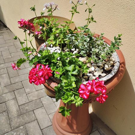 Ferienwohnung Goethe Bernkastel-Kues Eksteriør billede